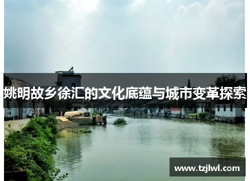 姚明故乡徐汇的文化底蕴与城市变革探索