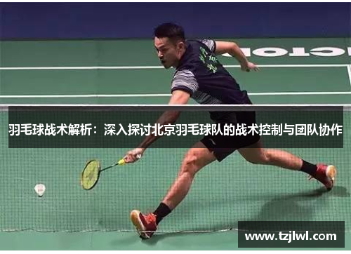 羽毛球战术解析：深入探讨北京羽毛球队的战术控制与团队协作