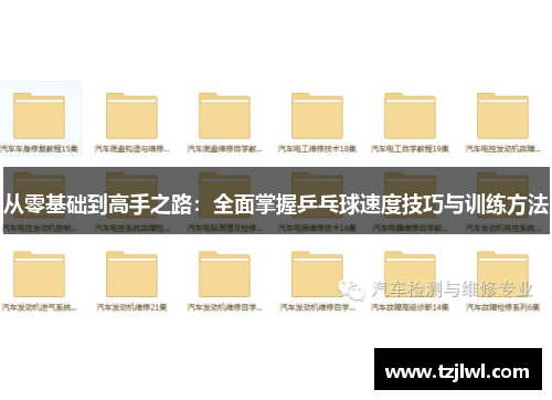 从零基础到高手之路：全面掌握乒乓球速度技巧与训练方法