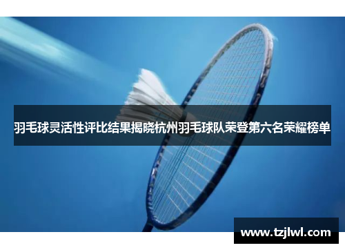 羽毛球灵活性评比结果揭晓杭州羽毛球队荣登第六名荣耀榜单
