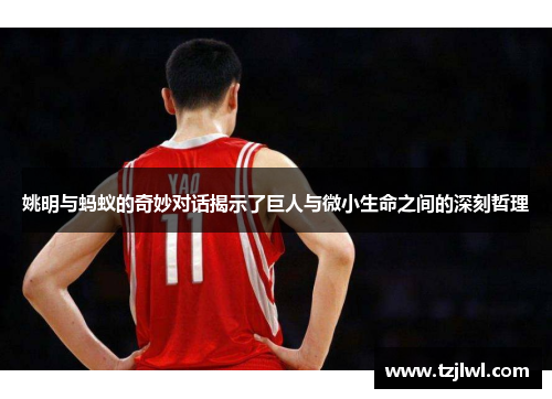 姚明与蚂蚁的奇妙对话揭示了巨人与微小生命之间的深刻哲理